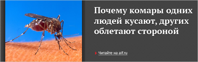 AdRiver